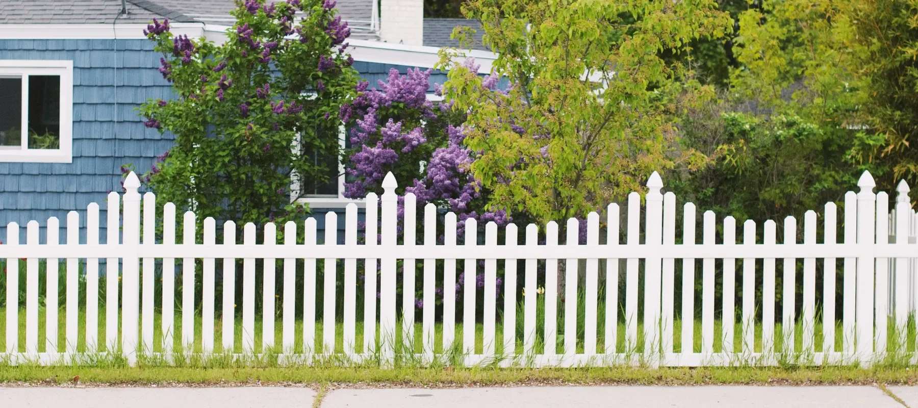Illustrative image: Fences & gates